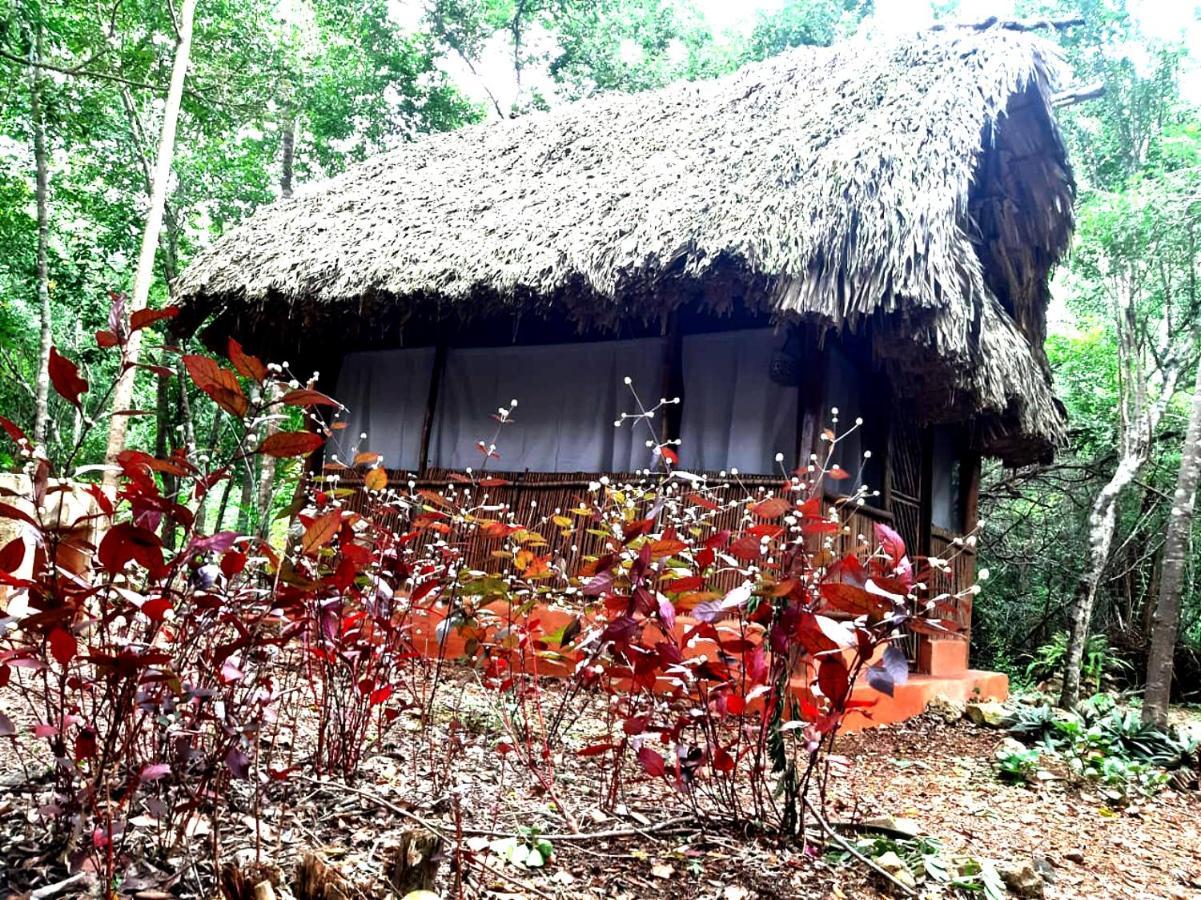 Eco-Hotel Nueva Altia Santa Elena Kültér fotó