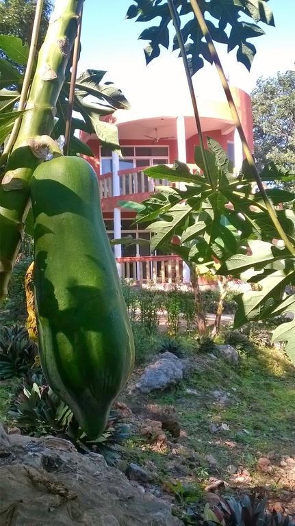 Eco-Hotel Nueva Altia Santa Elena Kültér fotó