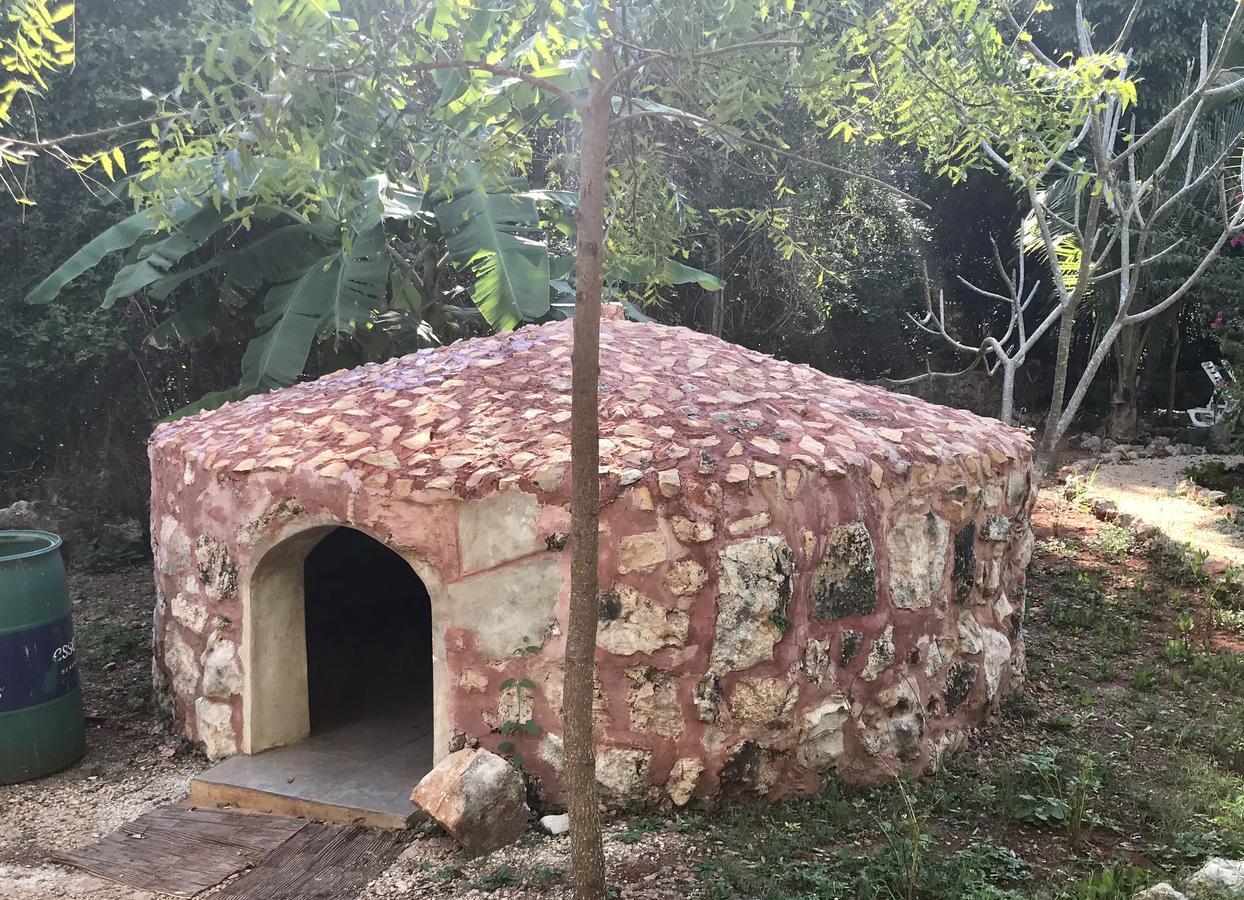Eco-Hotel Nueva Altia Santa Elena Kültér fotó