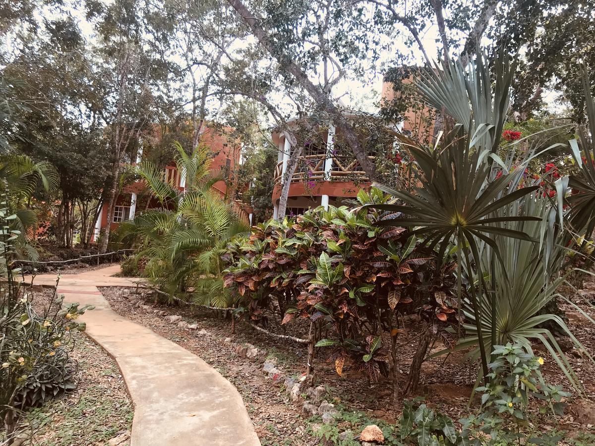 Eco-Hotel Nueva Altia Santa Elena Kültér fotó